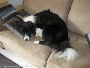 20140301-1 year old 008